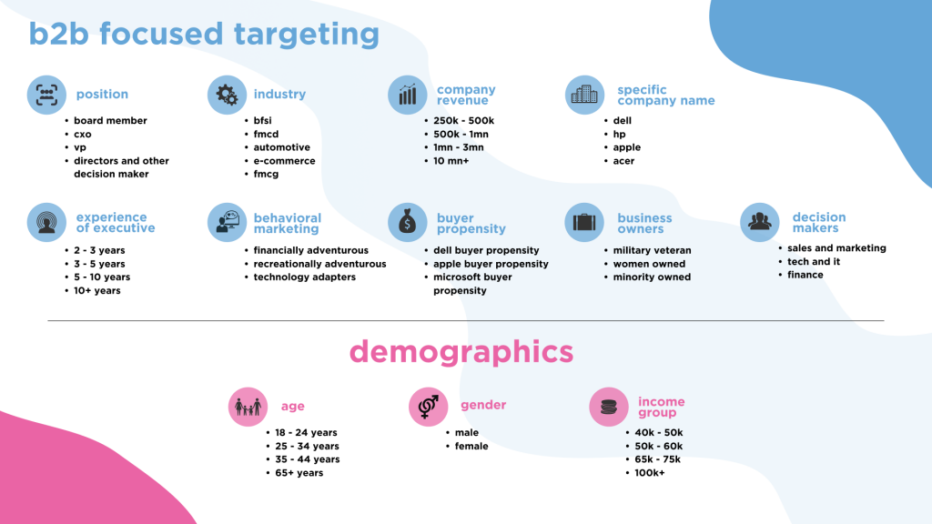 B2B and demographic focused targeting